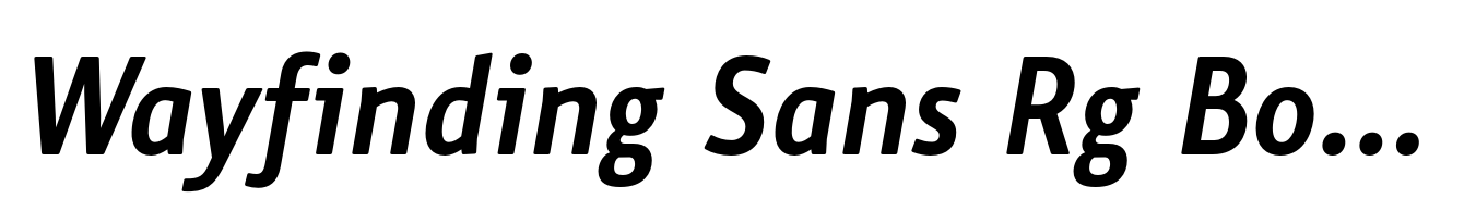 Wayfinding Sans Rg Bold Italic